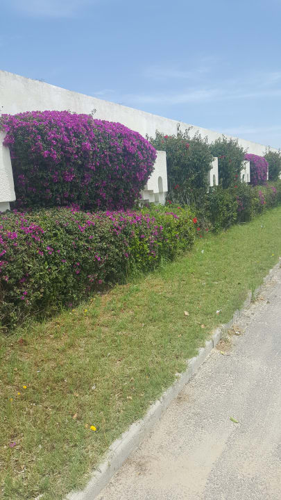 Gartenanlage El Mouradi Club Kantaoui