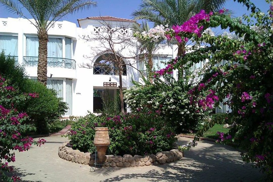 Aleja hotelowa Hotel Amarante Garden Palms Resort