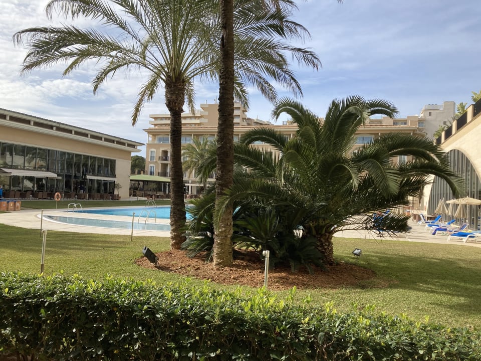 Gartenanlage Grupotel Playa de Palma Suites & Spa