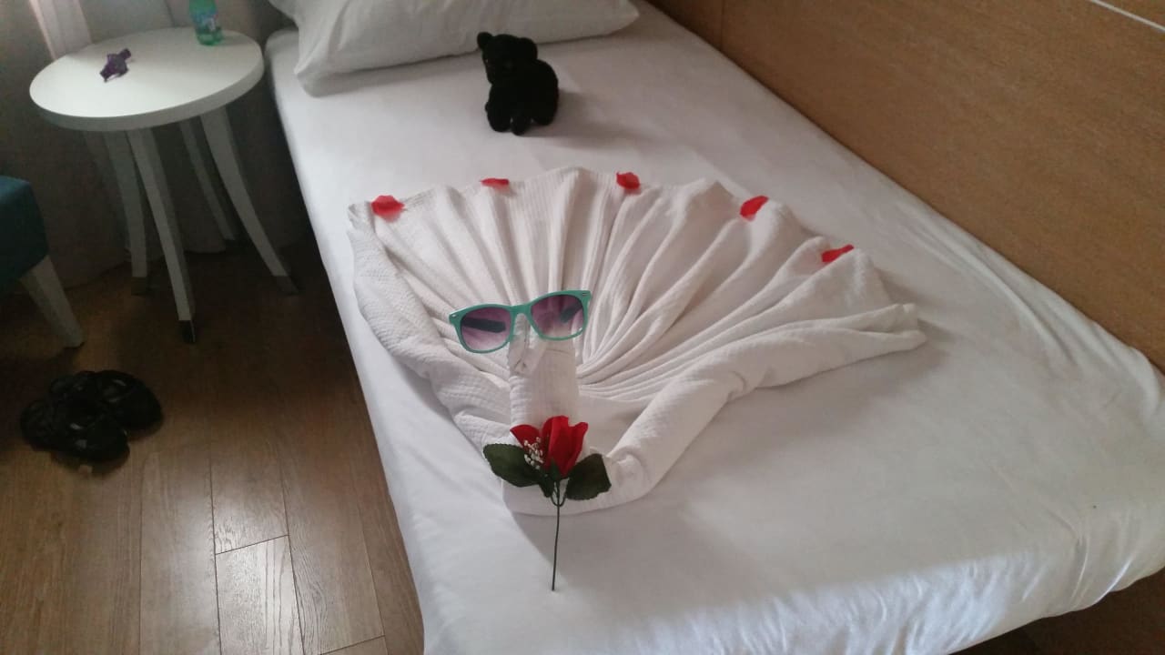 Ein Schwan mit Sonnenbrille Sentido Trendy Verbena Beach