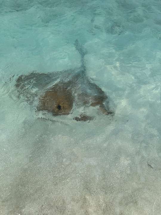 Strand Vilamendhoo Island Resort & Spa