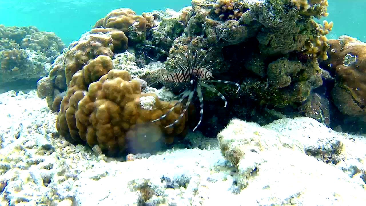 Sport & Freizeit Adaaran Select Hudhuran Fushi - Premium All Inclusive