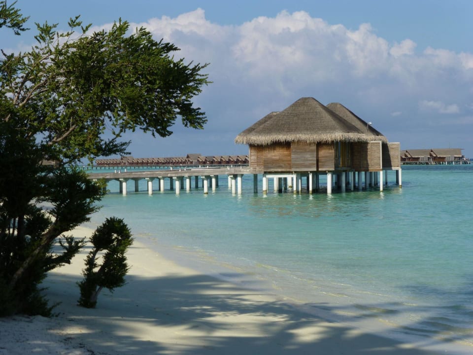Spa Treatment-Villen  LUX South Ari Atoll