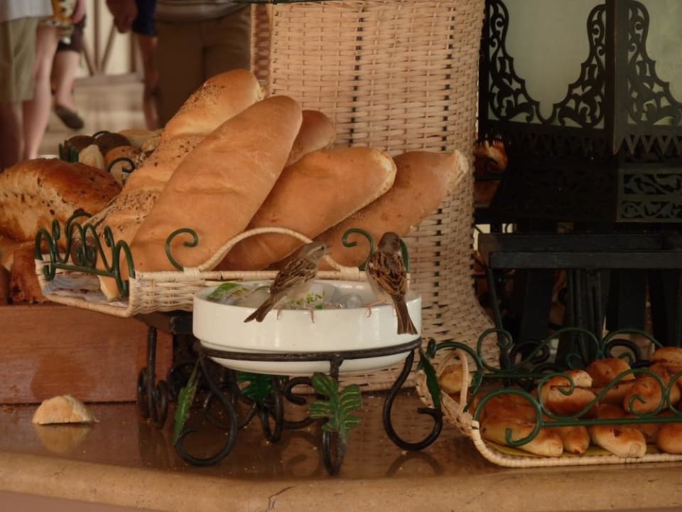 Lagoon Restaurant  Grand Makadi