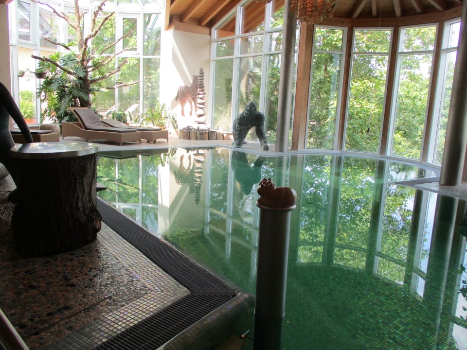 Pool Hotel Weisser Bär