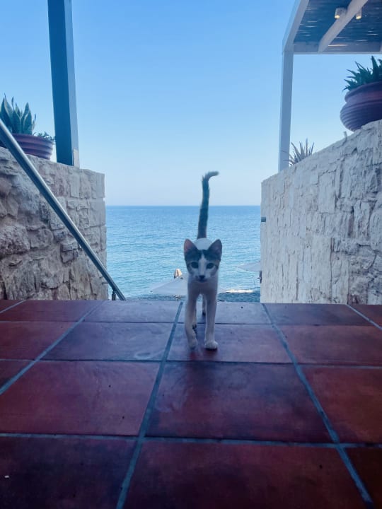 Sonstiges Kakkos Beach Hotel