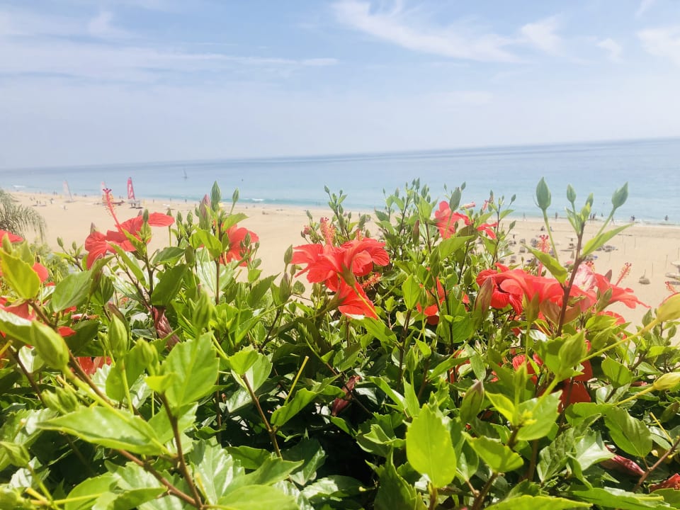 Ausblick Hotel Riu Palace Jandia
