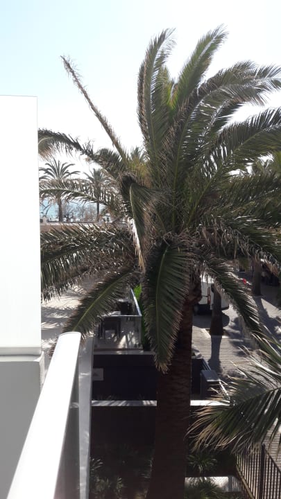 Ausblick Hotel Riu San Francisco - Adults only