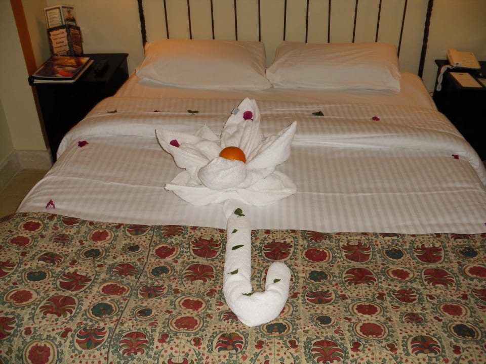 Handtuchkreation Dawar El Omda - Adults only  (Im Umbau/Renovierung)