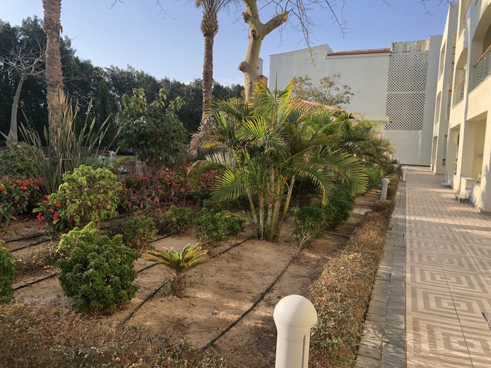 Gartenanlage Pickalbatros Dana Beach Resort - Hurghada