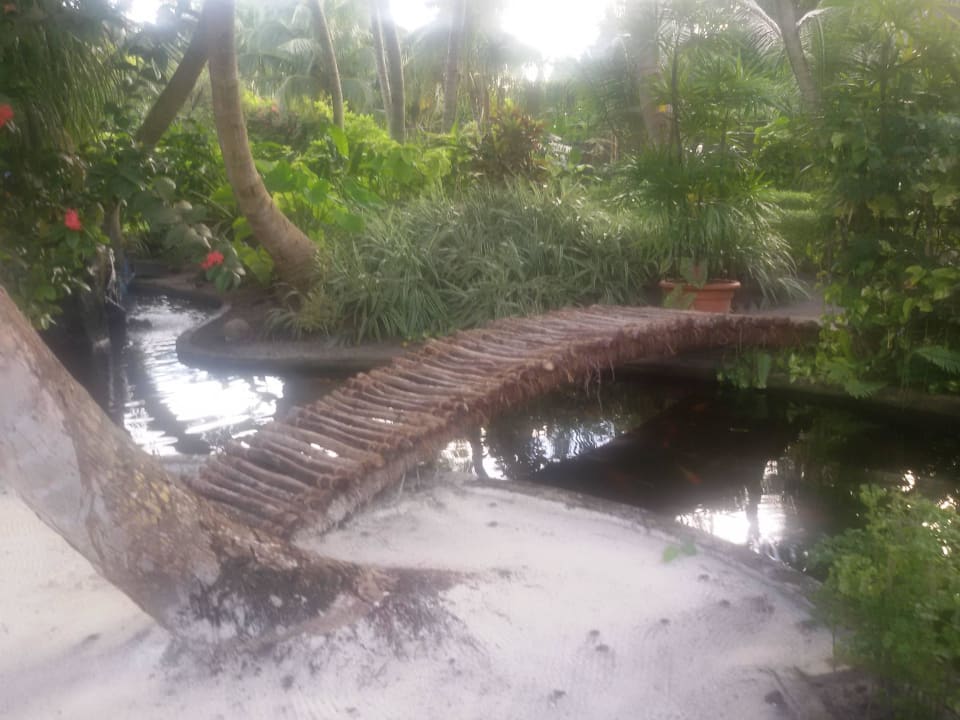 Liebevoll angelegt Adaaran Select Meedhupparu Island Resort - Premium All Inclusive