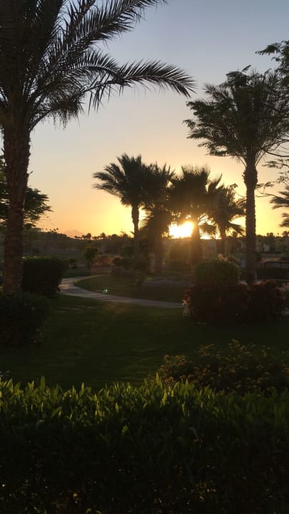 Ausblick JAZ Neo Saraya Palms