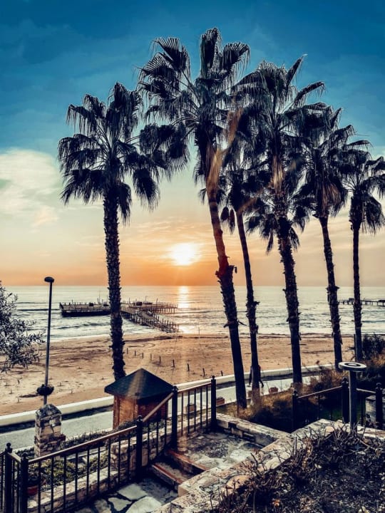 Strand Arum Barut Collection