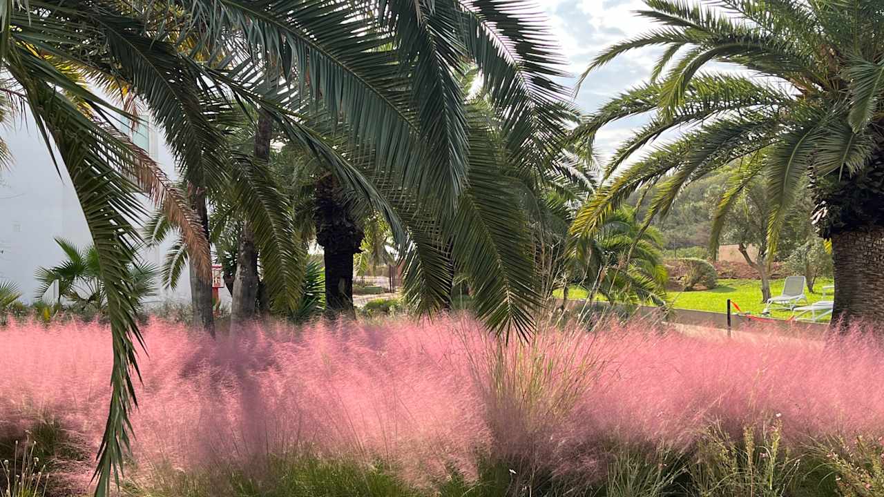 Gartenanlage Grand Palladium Select Palace Ibiza