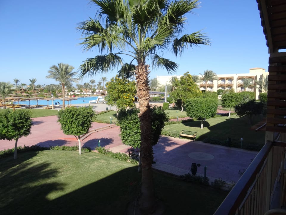 Ausblick aus dem Zimmer Desert Rose