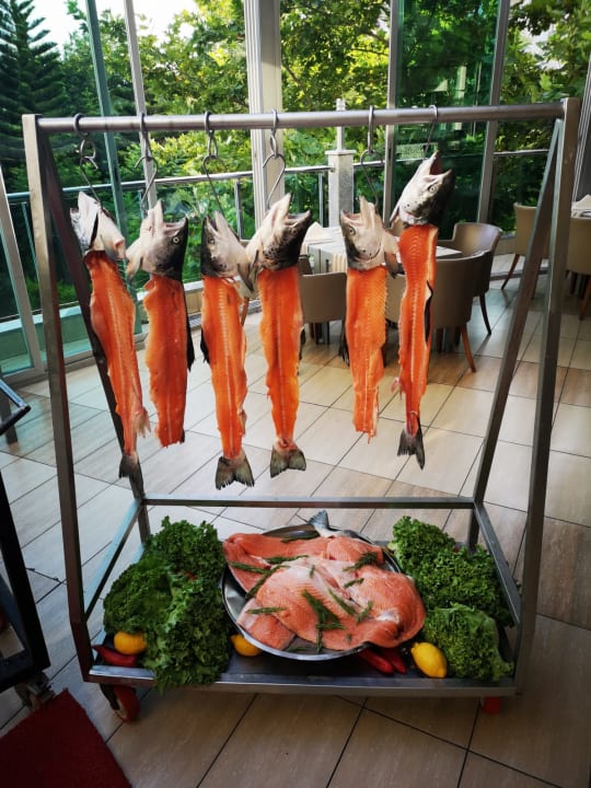 Gastro Hotel Delphin Imperial