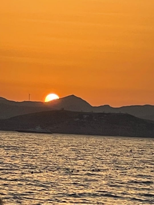 Ausblick TUI MAGIC LIFE Bodrum - Adult Only (16+)