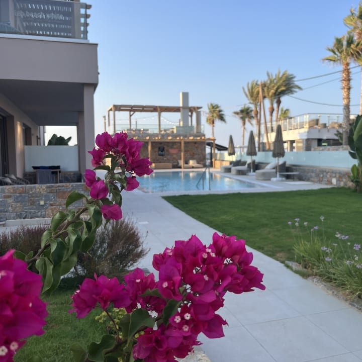 Gartenanlage High Beach Resort