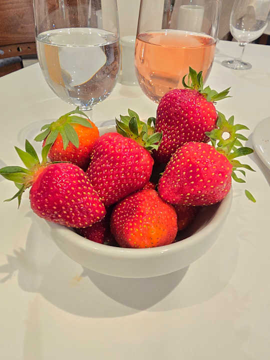 Gastro Iberostar Waves Bellevue