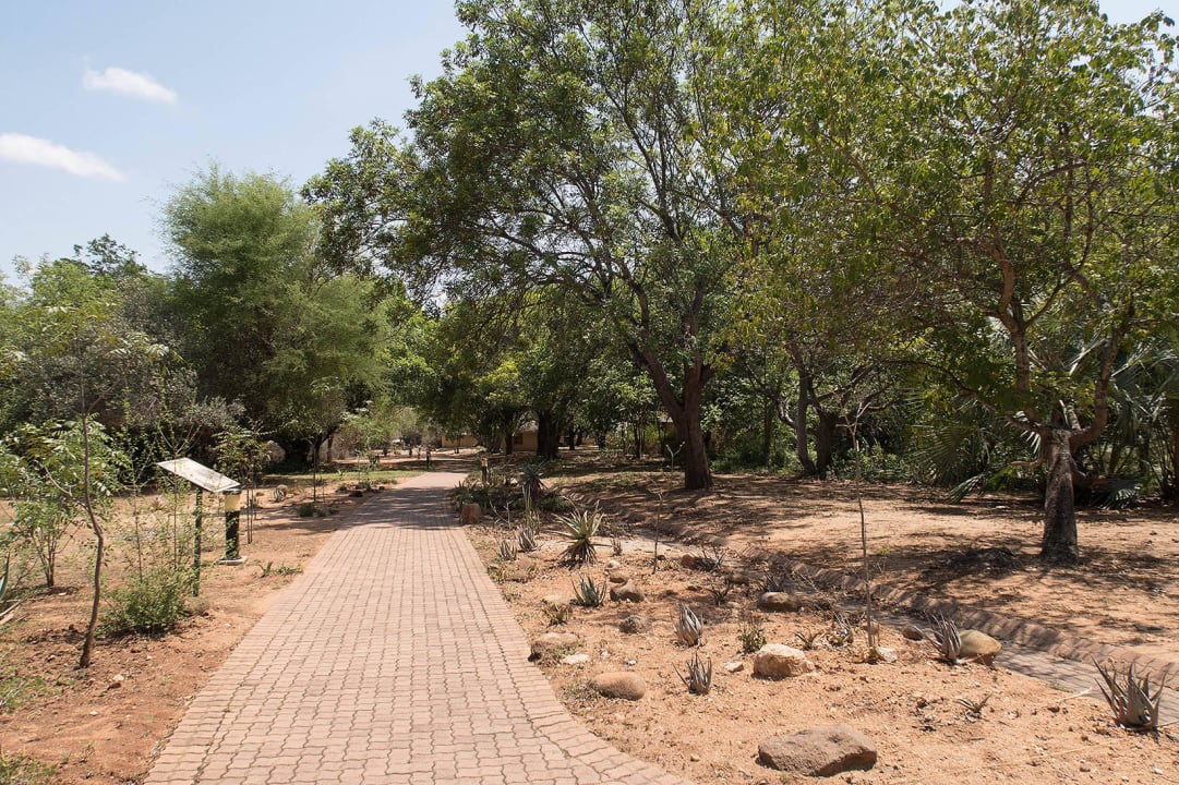 Weg im Camp Hotel Restcamp Skukuza