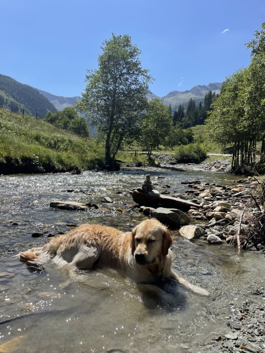 Sport & Freizeit Chaletdorf Auszeit
