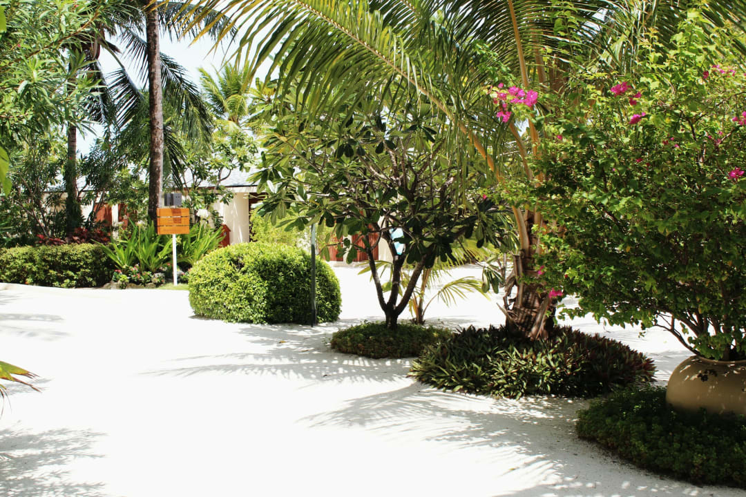 Gartenanlage Centara Ras Fushi Resort & Spa Maldives