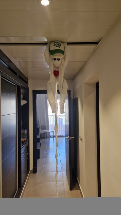 Zimmer Jaz Solaya
