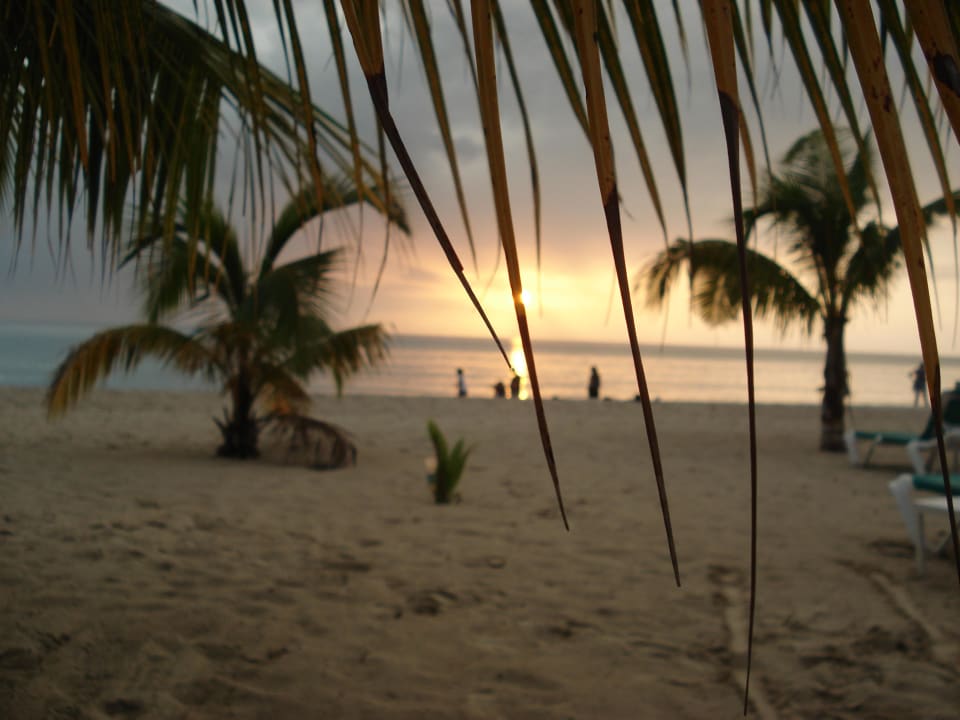 Hotel Charela Inn Charela Inn Hotel