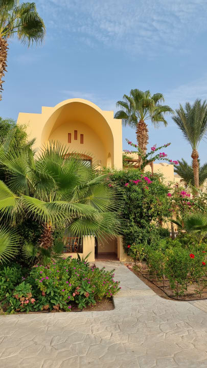 Gartenanlage Steigenberger Coraya Beach - Adults only