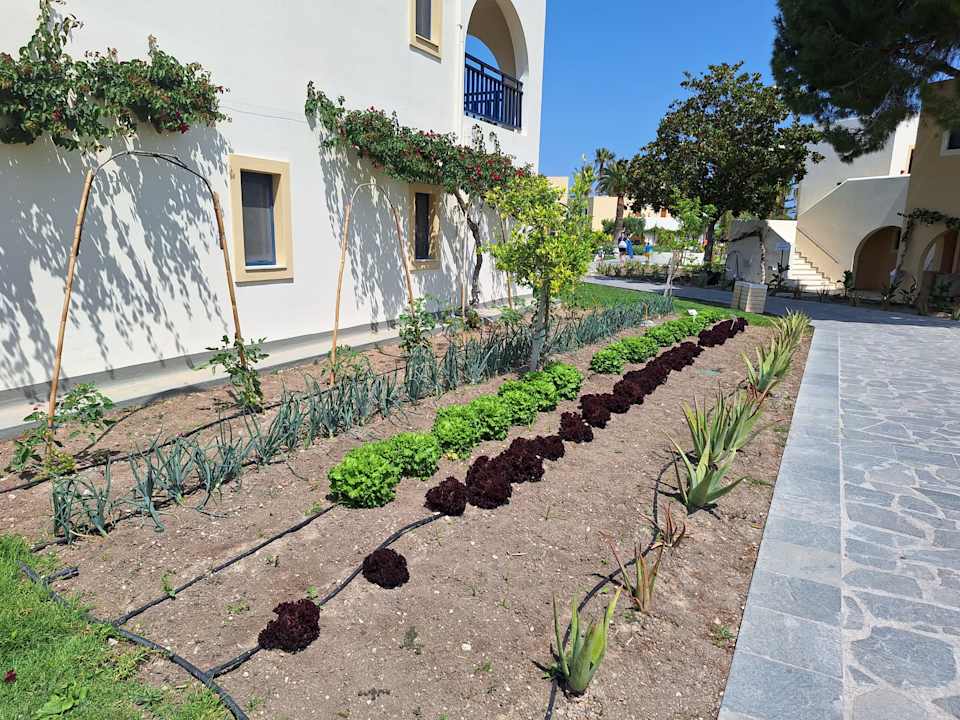 Gartenanlage Grecotel Casa Paradiso