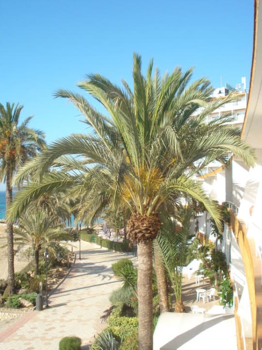 Nach umzug in Zimmer 222 Hotel Figueretas