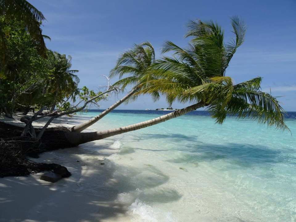 Außenansicht Vilamendhoo Island Resort & Spa