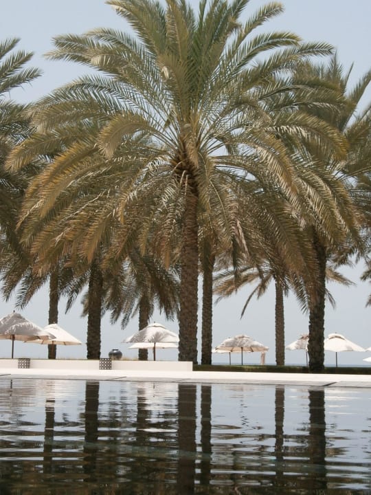 Palm tree The Chedi Muscat