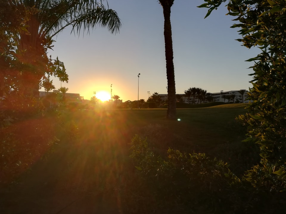 Garten Steigenberger Aqua Magic