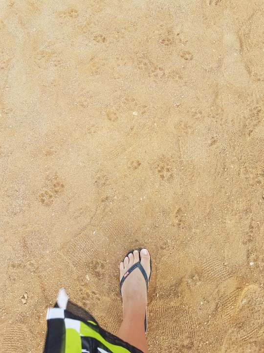 Strand Pickalbatros Citadel Resort