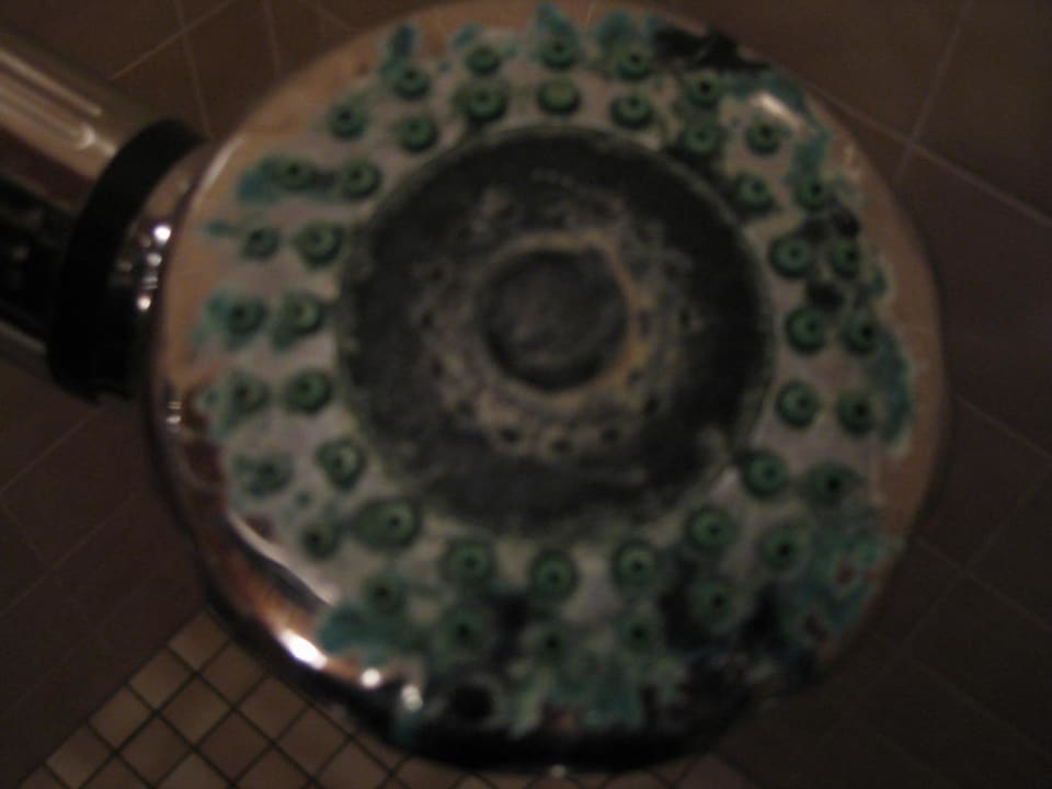 Bad / Dusche Hotel De Dennen