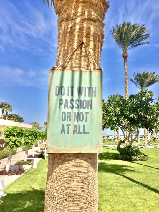 Gartenanlage Meraki Resort (Adults Only)