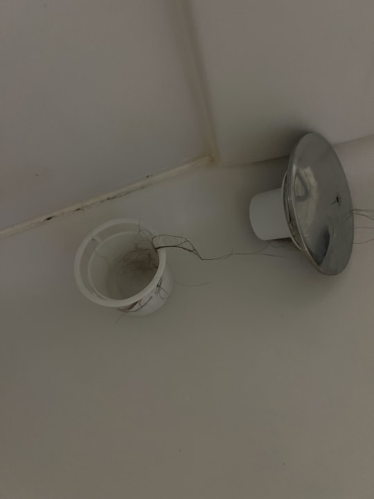 Zimmer Royal Seginus