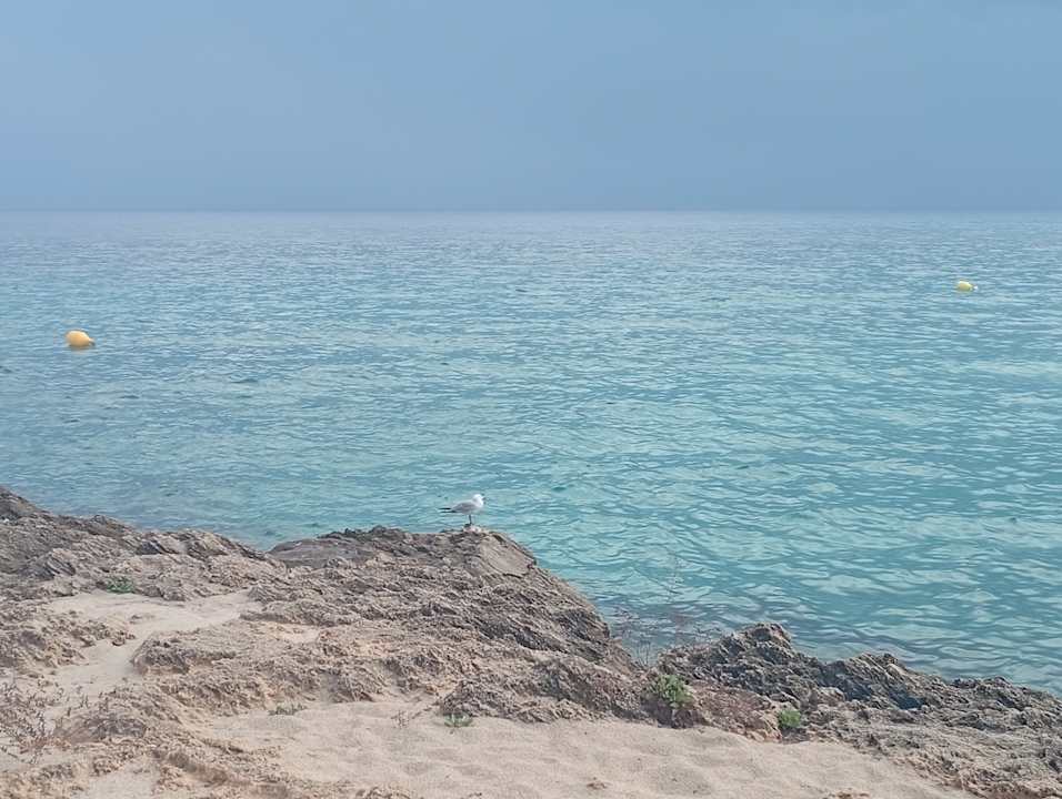 Sonstiges R2 Lago Playa Park