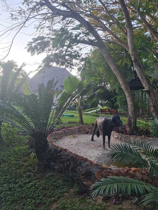 Außenansicht Hotel Kiwengwa Beach Resort