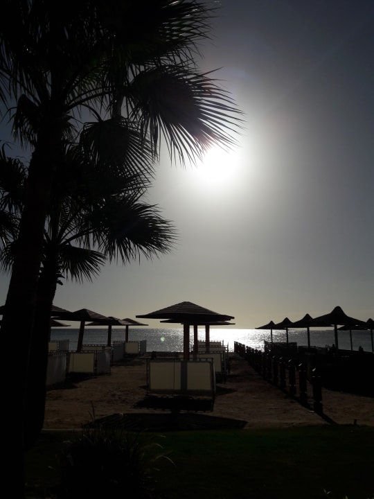 Gartenanlage Shams Prestige Abu Soma-Adults Only