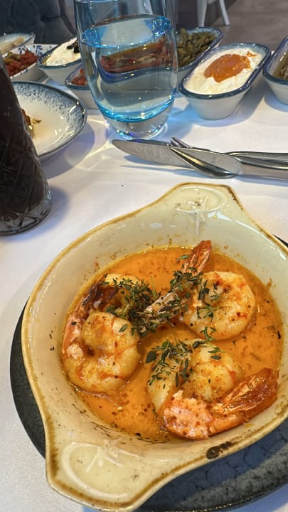 Gastro Adalya Elite Lara