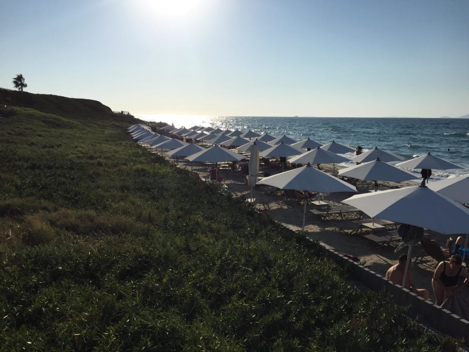 Strand am Nachmittag Neptune Luxury Resort