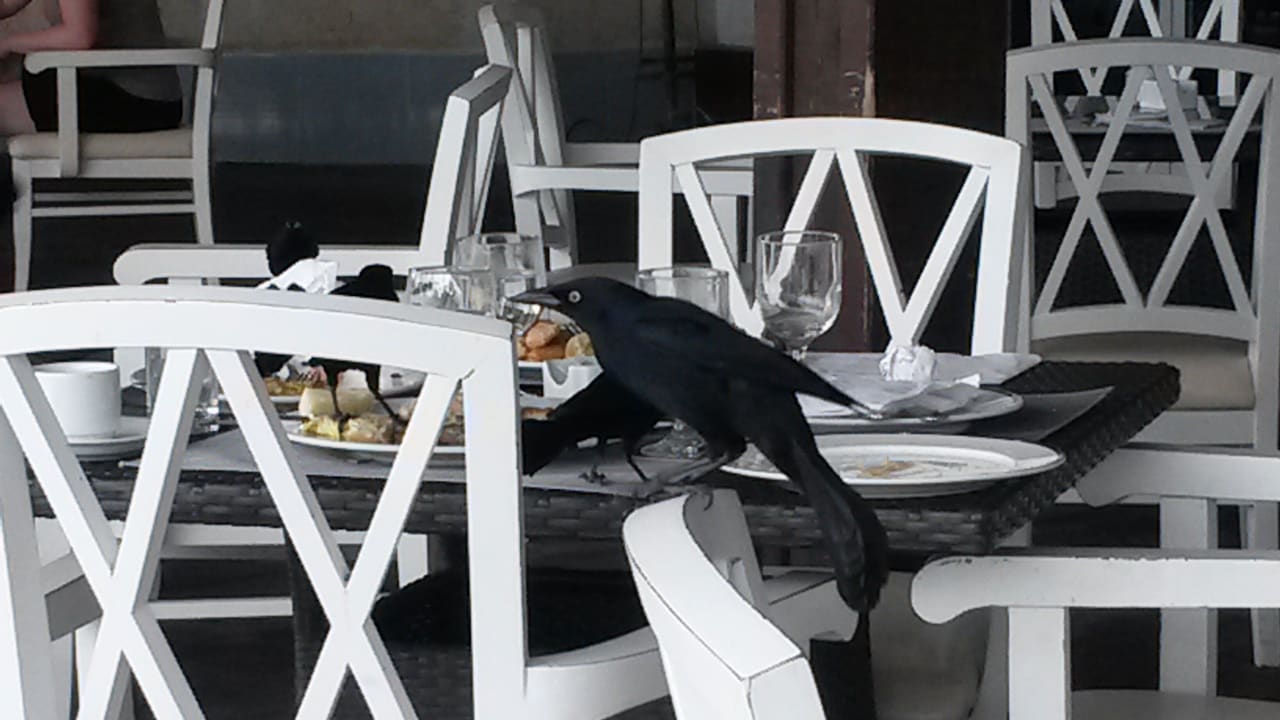 Restaurant Meliá Península Varadero