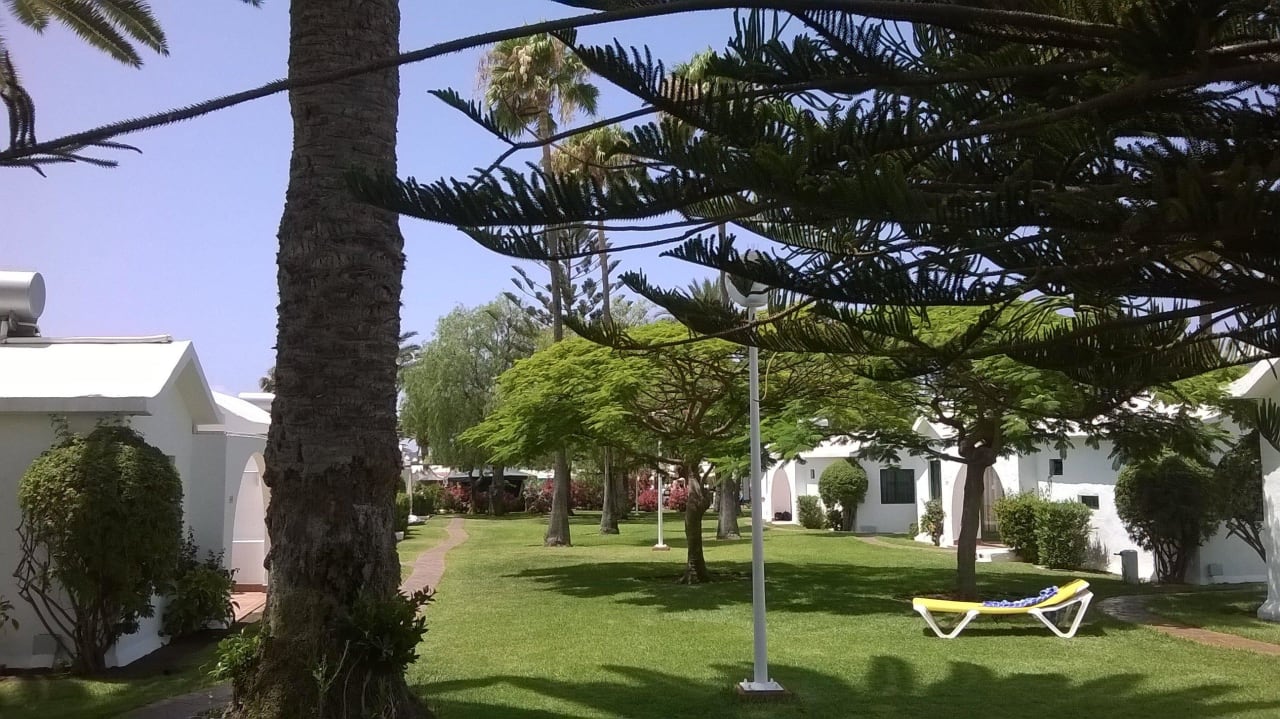 Canary Garden Club Canary Garden Club