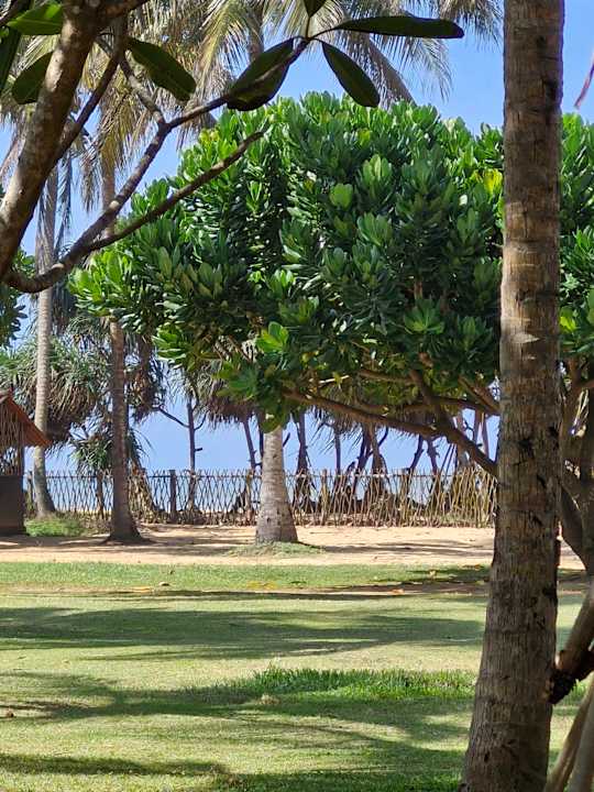 Gartenanlage The Villas Wadduwa