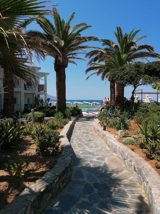 Gartenanlage HARPIN Happy Days Beach Hotel