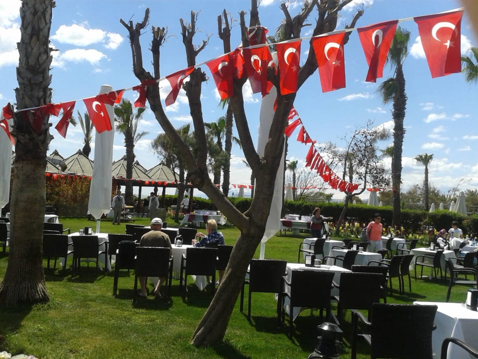 Türkischer Tag Papillon Belvil