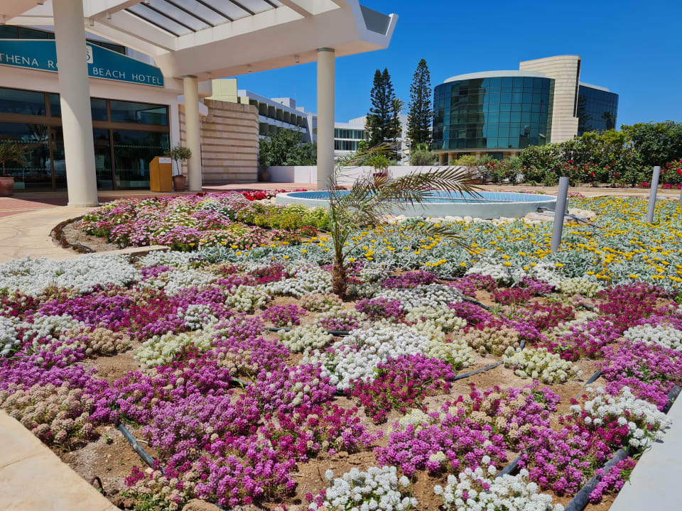 Außenansicht Constantinou Bros Athena Royal Beach Hotel