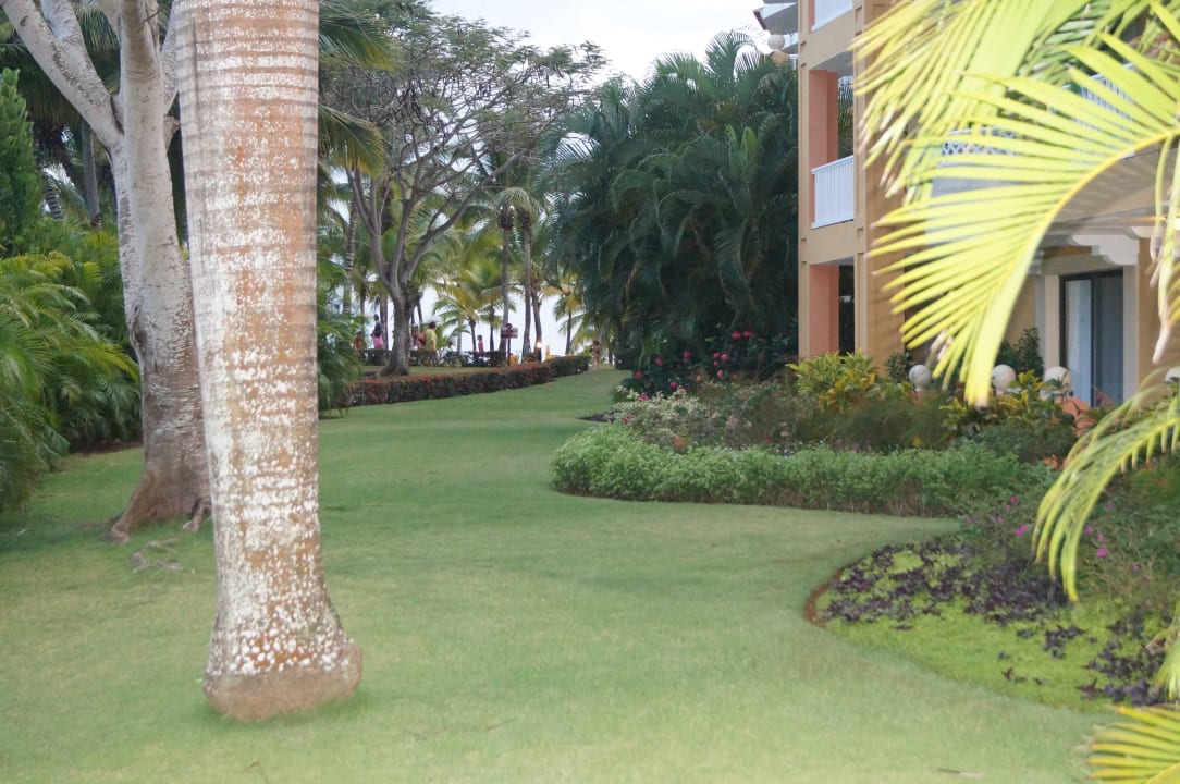 Hotel Viva Wyndham Dominicus Palace Hotel Viva Dominicus Palace by Wyndham-All Inclusive Resort